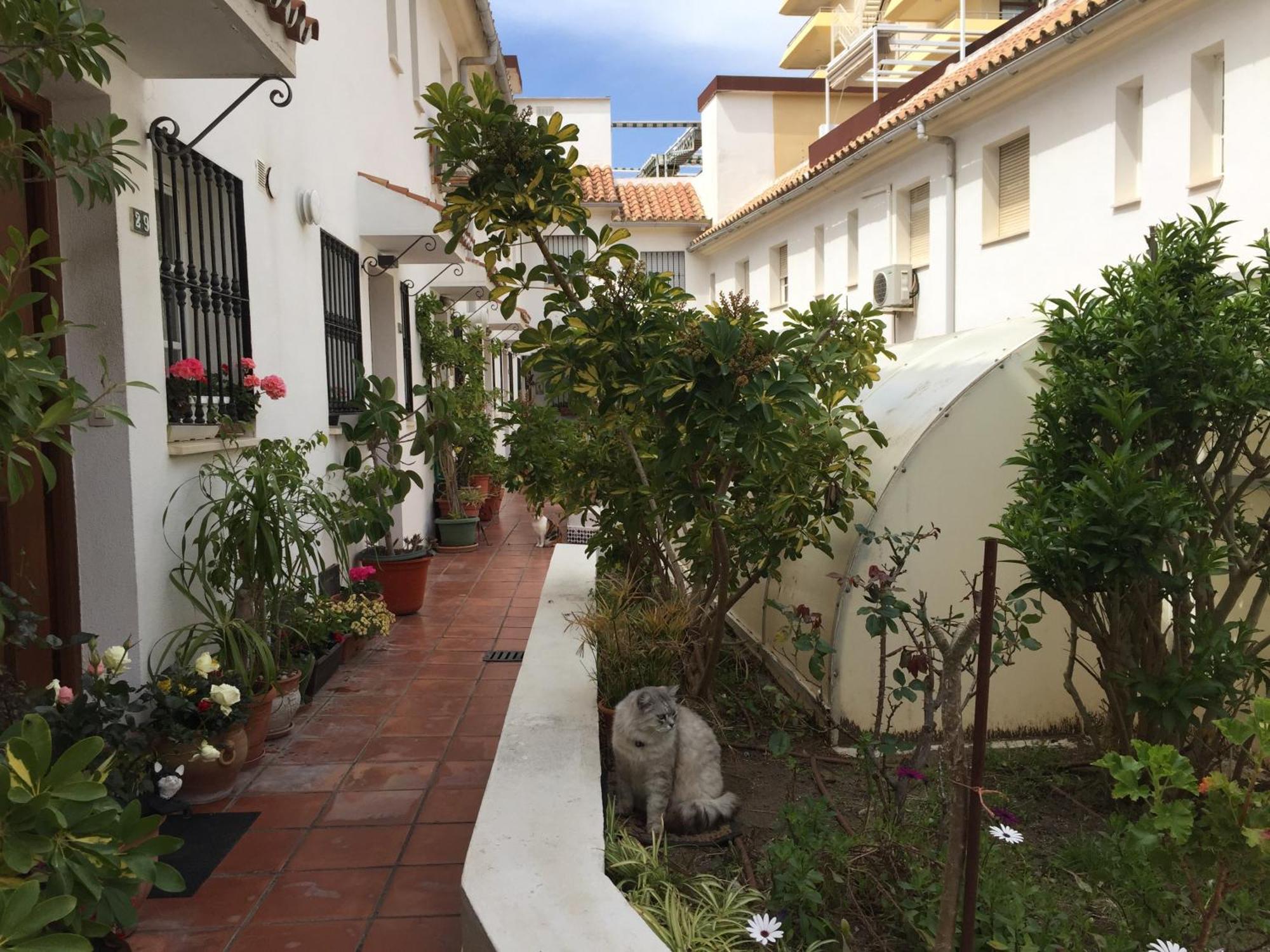 El Cortijuelo. Magnificent Triplex Terraced House With Rooftop Of 18M2, Overlooking The Sea. Parking Torremolinos Eksteriør bilde